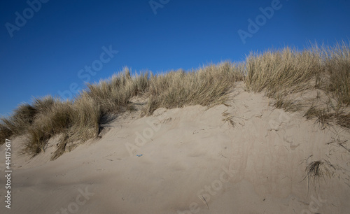 Dunes with snow. Julianadorp Northsea coast Netherlands. Winter