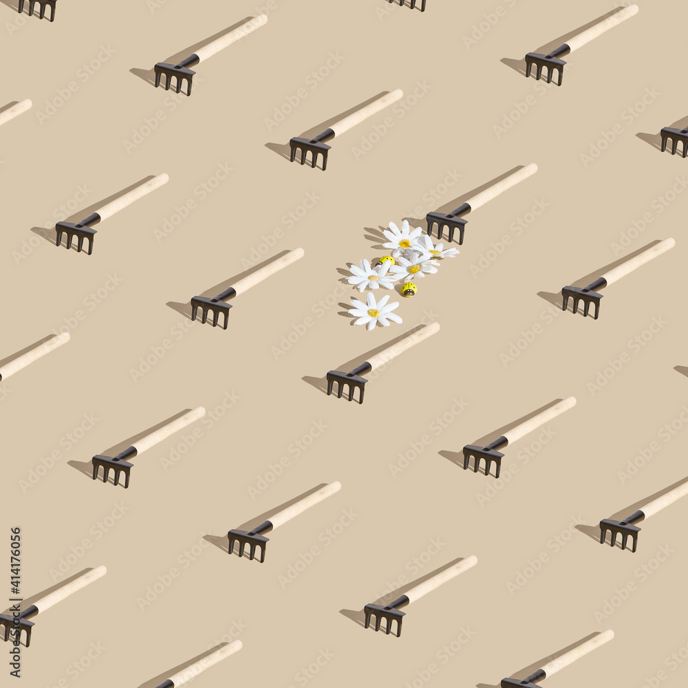 Daisy and garden rake creative minimal background. Neutral beige table with sunshine and hard shadow. Garden, floral, season pattern Daisy and garden rake creative minimal background. Neutral beige table with sunshine and hard shadow. Garden, floral, season pattern