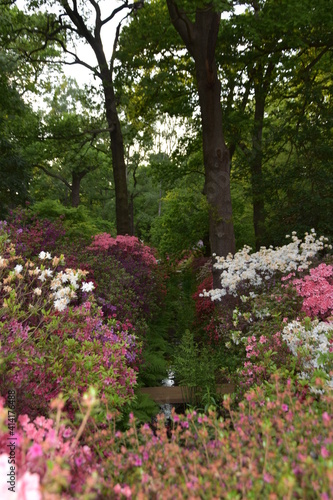 Fototapeta Naklejka Na Ścianę i Meble -  spring in the garden