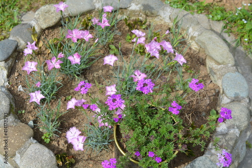 flower bed in the garden