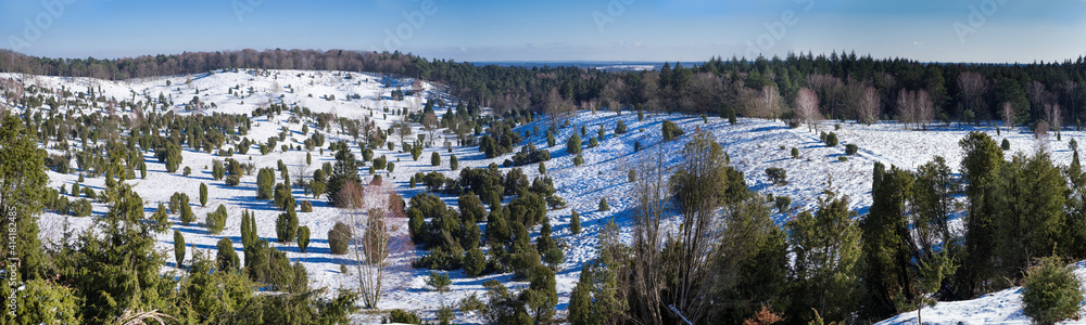 Panorama Winter Totengrund Lüneburger Heide