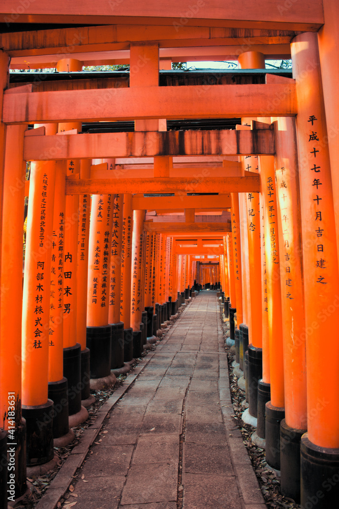 Fushimi Inari Taisha torii to Tyoko. Fushimi Inari Taisha torii to Tyoko.