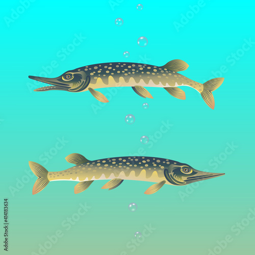 Pike