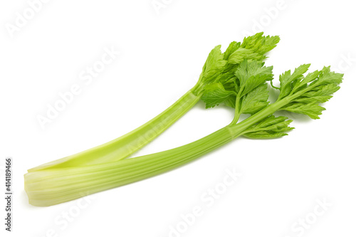 Fresh celery photo