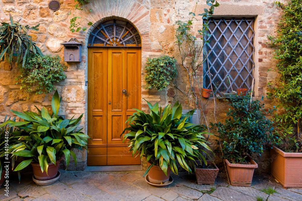 Fototapeta premium landscape with door and plants in pot