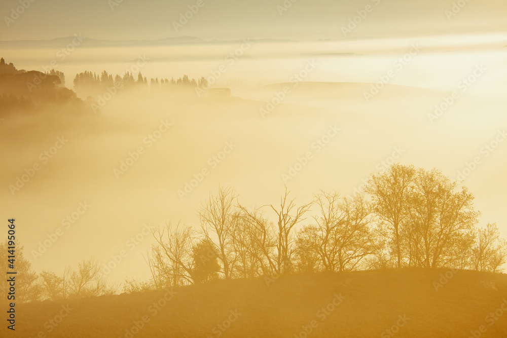 Fototapeta premium landscape with hills, fog and trees