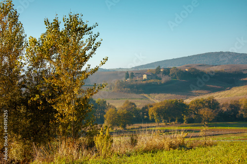 landscape with hills and trees in Tuscany, Italy in summer