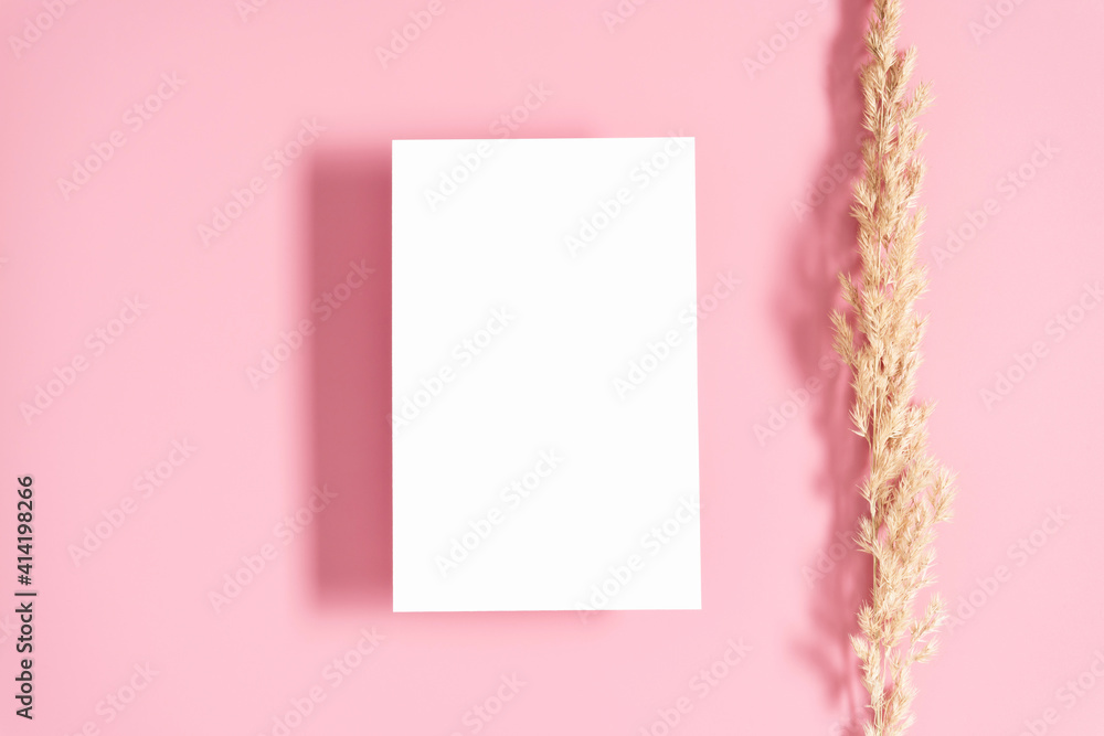 White paper empty blank, dried grass decoration on pastel pink background. Invitation card mockup on pink table. Flat lay, top view, copy space, mockup White paper empty blank, dried grass decoration on pastel pink background. Invitation card mockup on pink table. Flat lay, top view, copy space, mockup