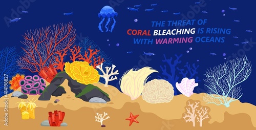 Marine life problems