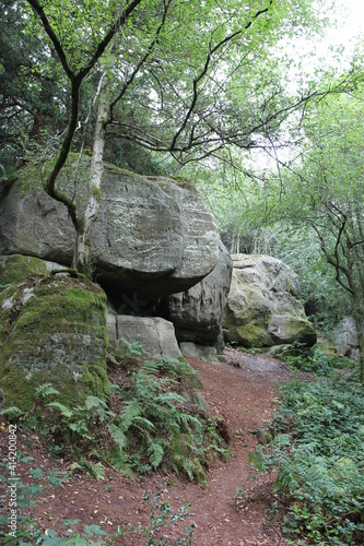 Eridge Rock formation, Sussex, British Isles