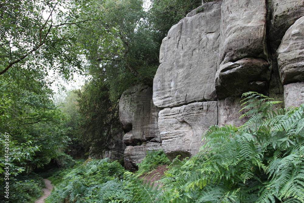 Eridge rock formation, Sussex, British Isles