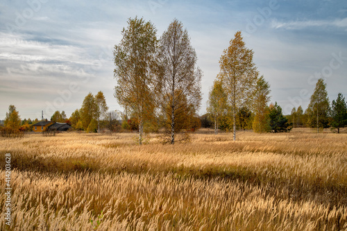 Glade with dry, yellow grass, rare trees against the background of village houses