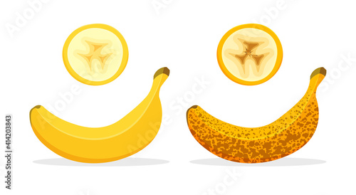 Bananas cut isolated on white background. Banana ripeness green underripe to brown overripe. Tropical fruits,  vegetarian nutrition.Vegan food vector icons in a trendy cartoon style. Healthy food icon