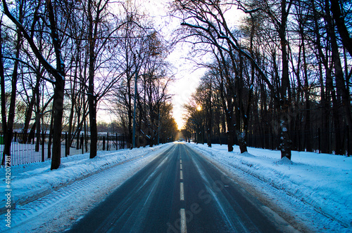 sunset in the park