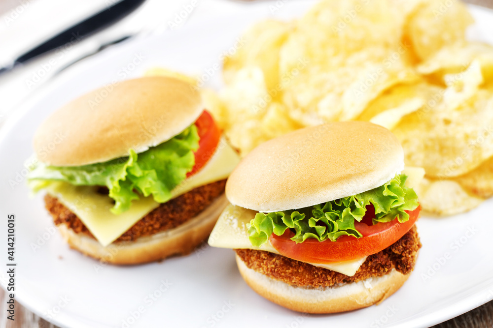 Mini Crispy Chicken Burger with Lettuce Tomato and Cheese. Mini Crispy Chicken Burger with Lettuce Tomato and Cheese.