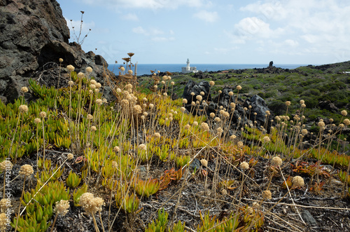 Punta Spadillo