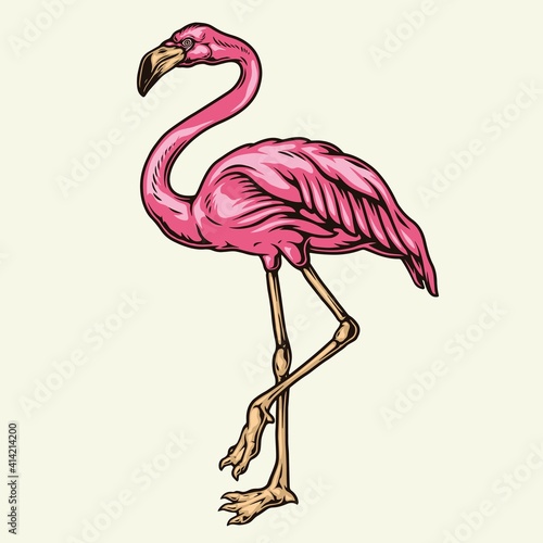 Beautiful pink flamingo