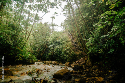 Fototapeta Naklejka Na Ścianę i Meble -  River, wild forest in Alajuela, Costa Rica.