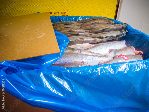 Boxed in crates and ready to be shipped, flash frozen Sockeye Salmon are readied for transport from a cannery ship in Bristol Bay Alaska. 