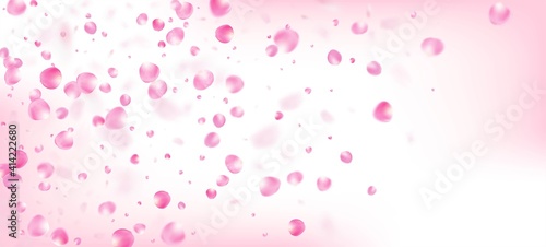 Rose Petals Falling Confetti. Blooming Cosmetics Ad Beautiful Flower