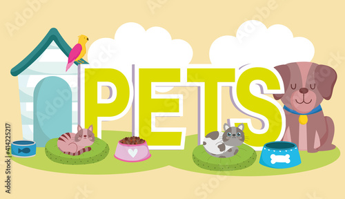 pets with dogs house cat parrot bowls with food cartoon