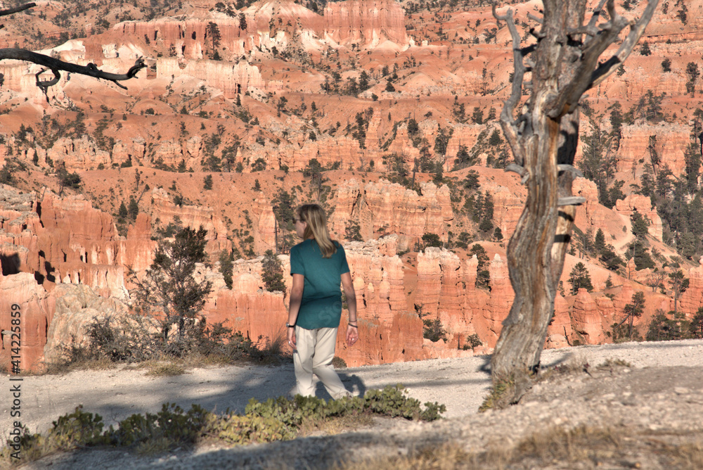 Woman admiring the depths and beauty of Bryce Canyon National park beside a dead tree on the rim