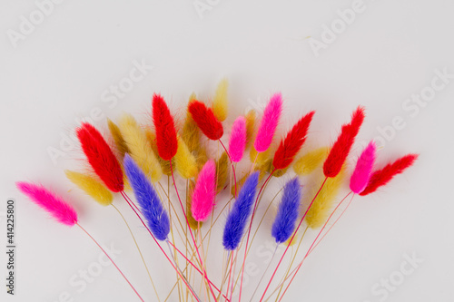 multicolored dry twigs spikelet in a bouquet on a white background