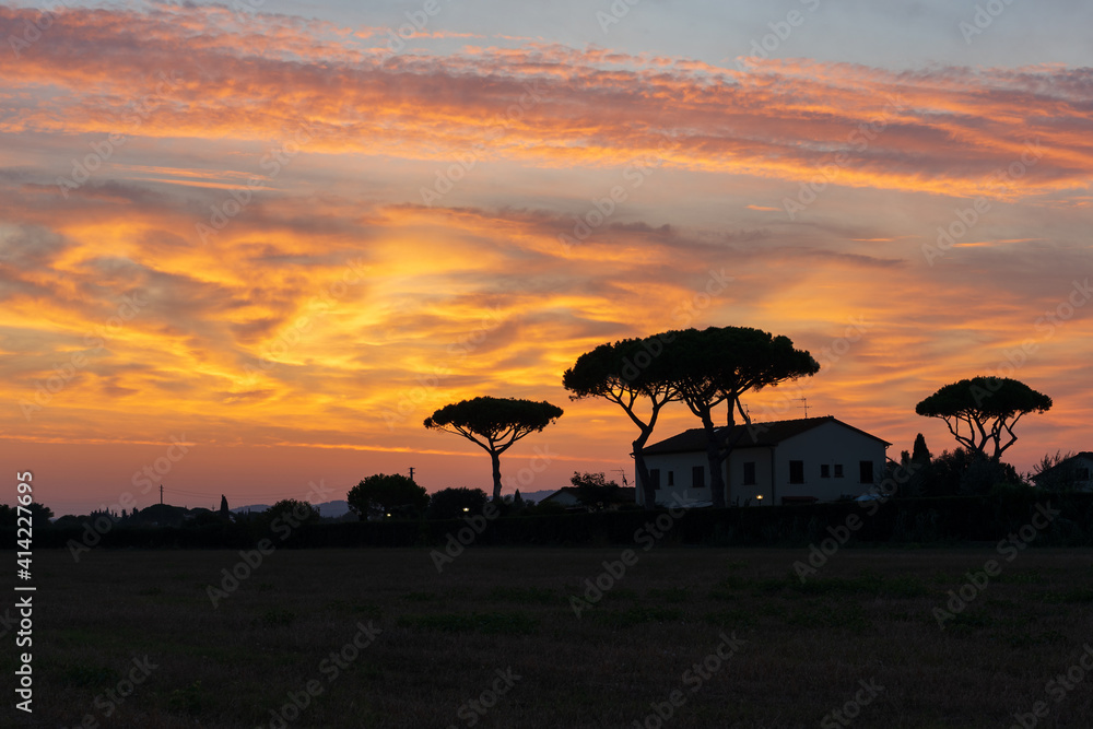 Sunrise in Tuscany, Italy behind pines