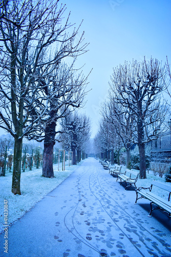 Photography Beautiful Winter evenings in Vienna Austria
