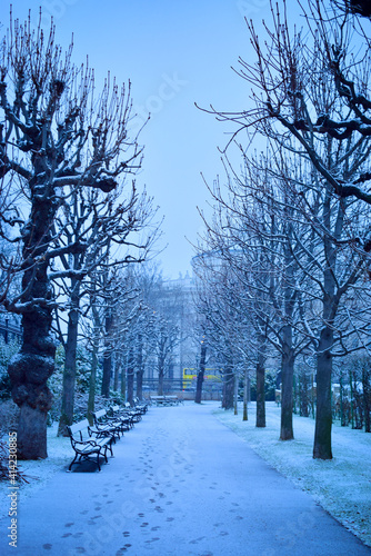 Photography Horse-Drawn Carriage in Vienna Austria on a winter evening in the city with beau
