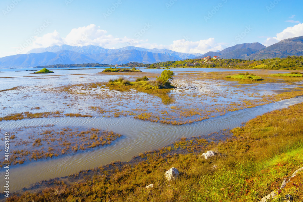 Beautiful sunny wetland landscape. Montenegro, Tivat. View of Tivat Salina, nature reserve