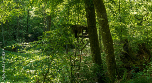Hochsitz in Wald