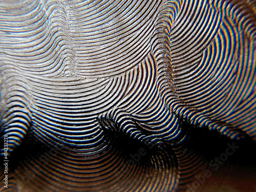 Interesting zebra patterns of light seen getting very close to a plastic film on ground glass