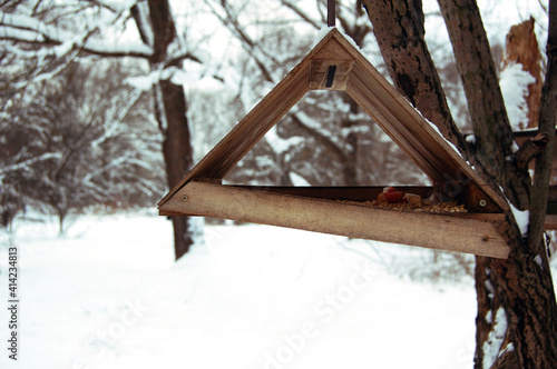 .Wooden hand made bird feeders in winter forest. © zlata_titmouse