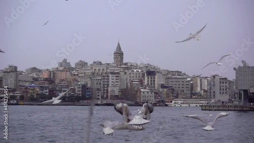 Seagull flying in Bosphorus, Istanbul (slow motion)