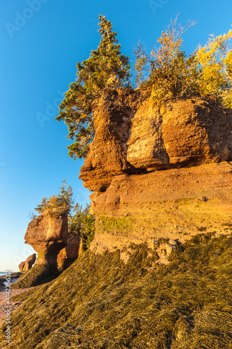 Canada, New Brunswick, Hopewell Rocks. Flowerpot Rocks formed by the great tides of the Bay of Fundy.