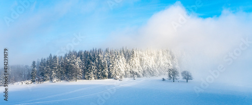 Winter monring landscape © pyty
