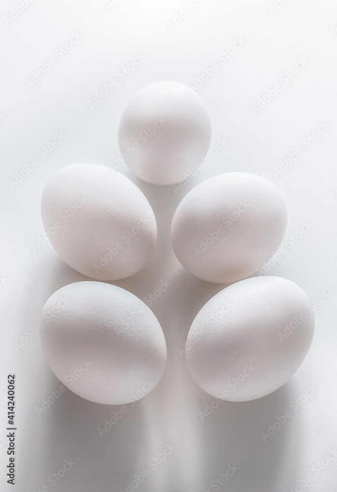 beautiful little chicken, egg and eggshell isolated on the white beautiful little chicken, egg and eggshell isolated on the white