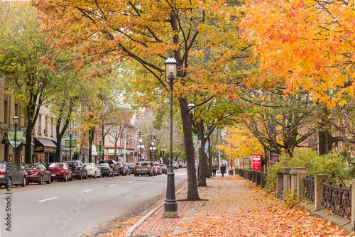 Canada, Central New Brunswick, Fredericton. Queen Street in autumn. photo