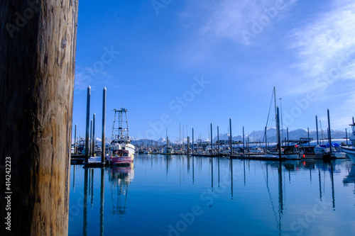 boats in the harbour