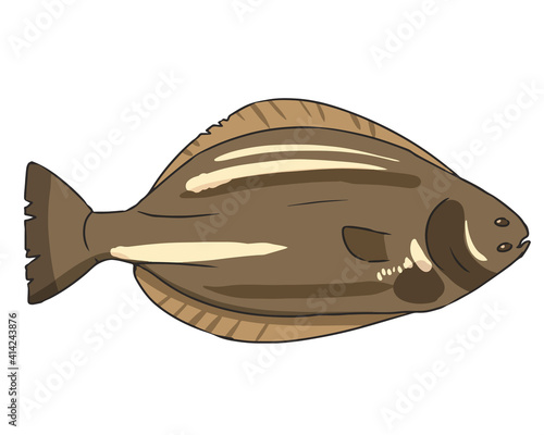 カレイ