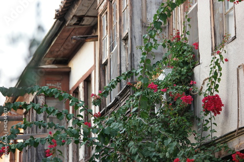 Flowers on the background of old building. The wall of weathered building in classic turkish style.