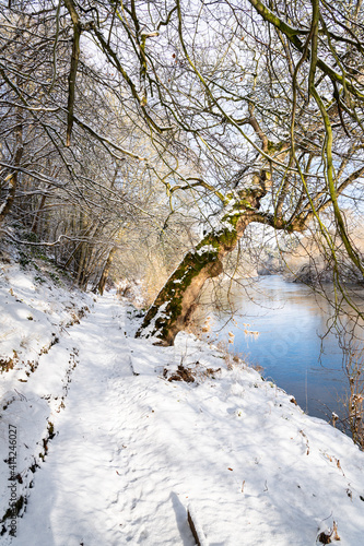 Teviot River and winter snow in the Scottish Borders photo