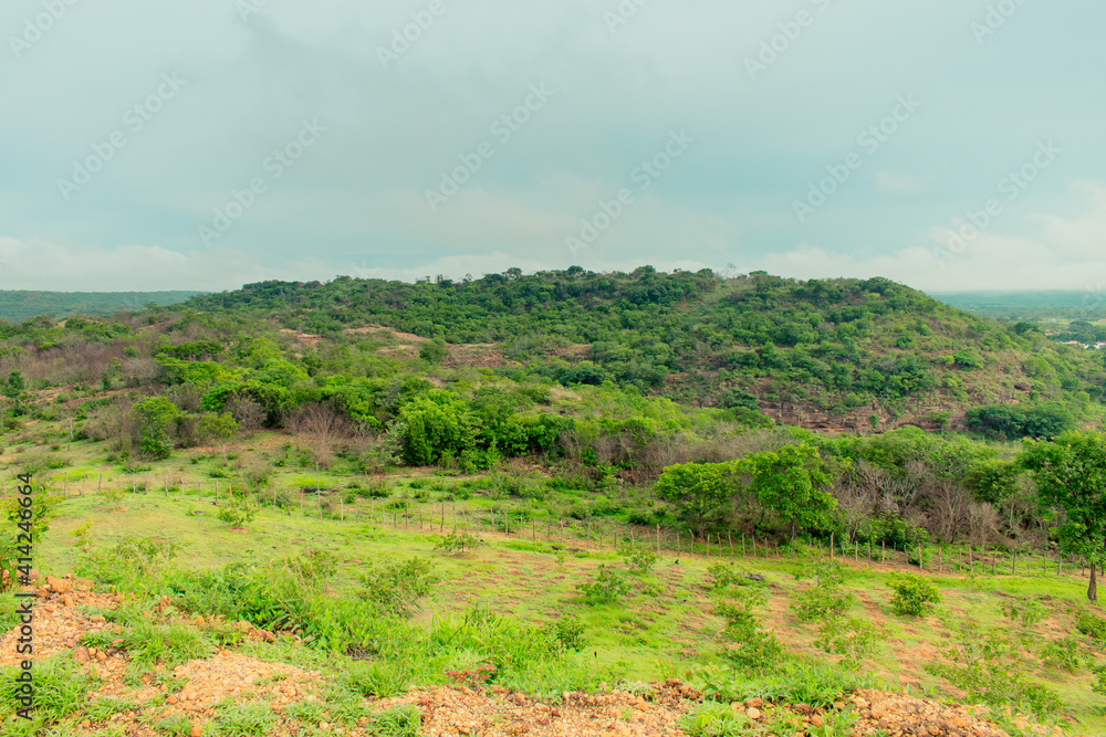 A view of the countryside of Oeiras, Piaui (caatinga biome) lush and green in the rainy season - Northeast Brazil A view of the countryside of Oeiras, Piaui (caatinga biome) lush and green in the rainy season - Northeast Brazil