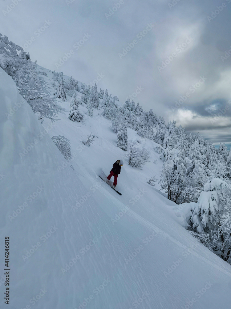 VERTICAL: Young woman shreds fresh powder while snowboarding in backcountry.