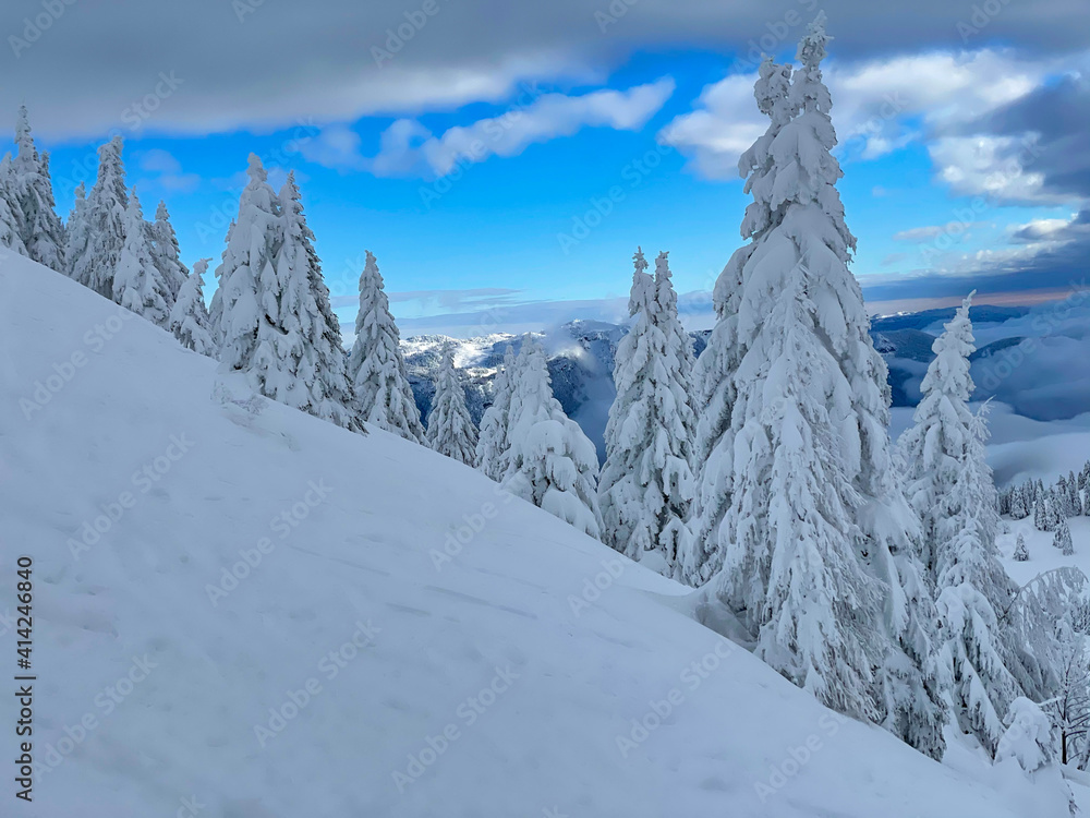 Fototapeta premium Picturesque view of the wintry backcountry of Krvavec, Slovenia on a sunny day