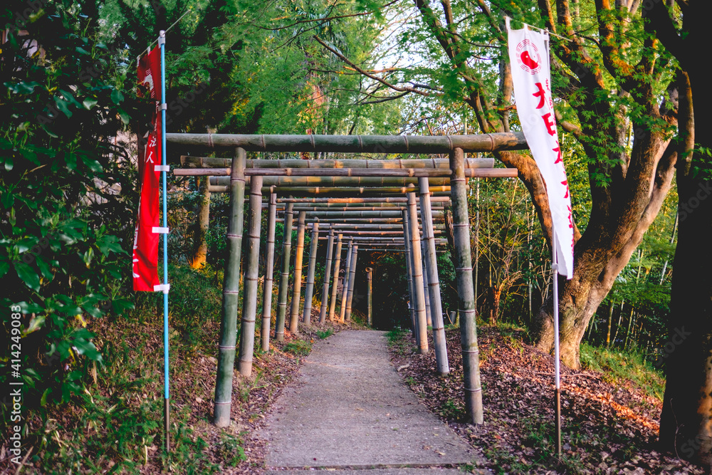 Details of torii gates path and forest at Fushimi Inari taisha shrine, Kyoto Details of torii gates path and forest at Fushimi Inari taisha shrine, Kyoto