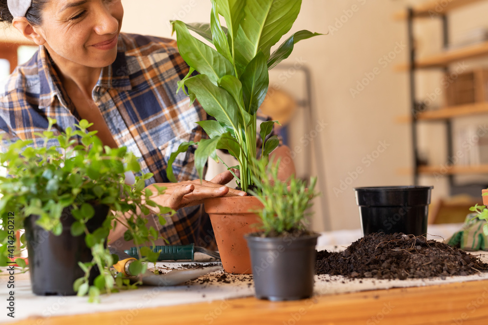 Smiling caucasian woman potting plants at home Smiling caucasian woman potting plants at home