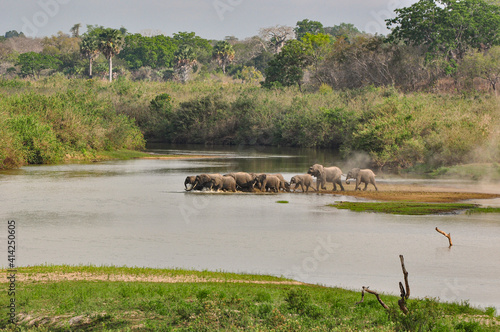 Canvas Print A herd of elephants crossing the river Rufiji , Selous National Park, Tanzania