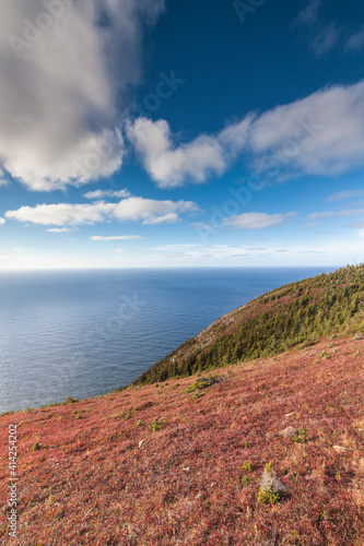 Canada, Nova Scotia, Cabot Trail. Cape Breton Highlands National Park, elevated view of the Atlantic Ocean from The Skyline Trail.